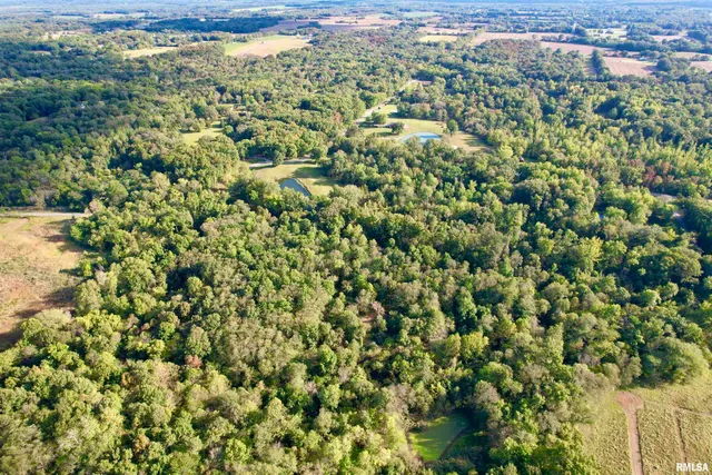 $90,000 | 8206 Eakin Grove Road, Benton, IL 62812