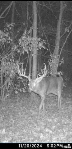 $90,000 | 8206 Eakin Grove Road, Benton, IL 62812