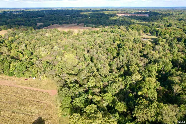 $90,000 | 8206 Eakin Grove Road, Benton, IL 62812