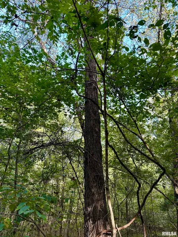 $90,000 | 8206 Eakin Grove Road, Benton, IL 62812