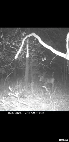 $90,000 | 8206 Eakin Grove Road, Benton, IL 62812