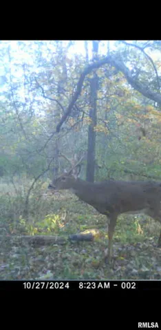 $90,000 | 8206 Eakin Grove Road, Benton, IL 62812