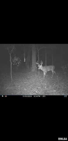 $90,000 | 8206 Eakin Grove Road, Benton, IL 62812