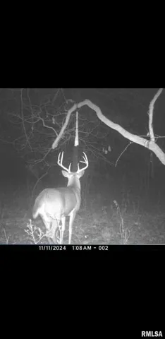 $90,000 | 8206 Eakin Grove Road, Benton, IL 62812