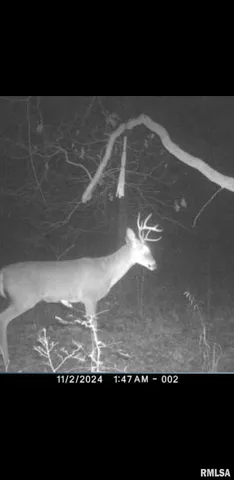 $90,000 | 8206 Eakin Grove Road, Benton, IL 62812