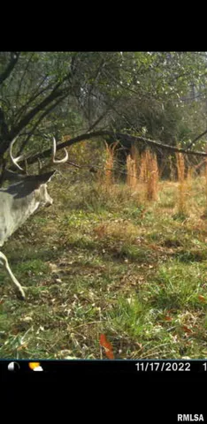 $90,000 | 8206 Eakin Grove Road, Benton, IL 62812