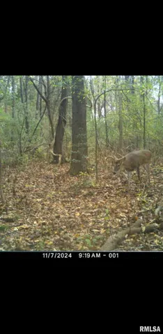 $90,000 | 8206 Eakin Grove Road, Benton, IL 62812