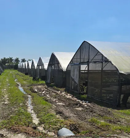 a view of under construction room