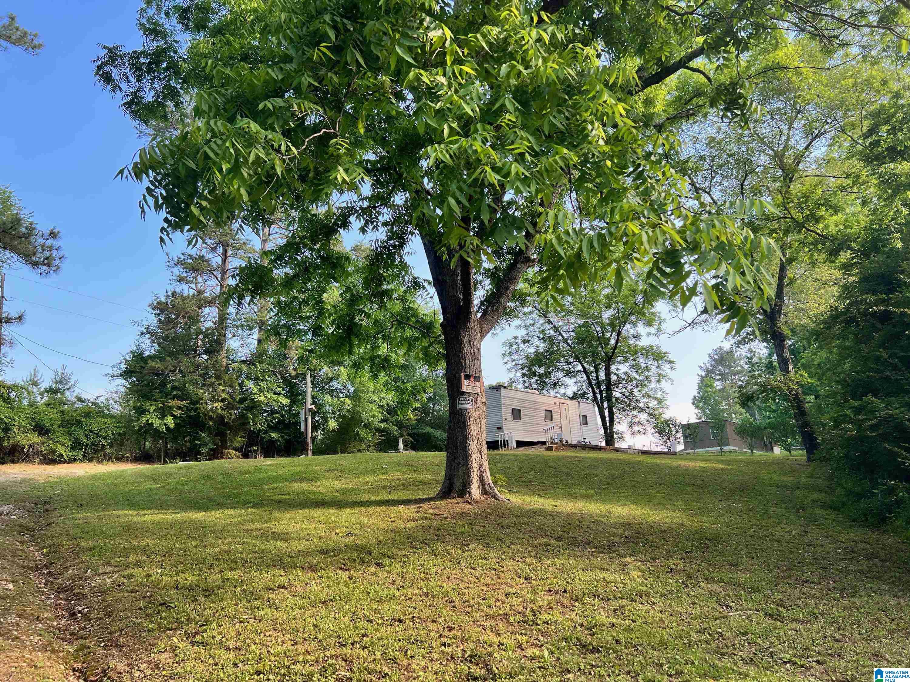 81 Century Road Jacksonville, AL 36265 - Photo 1 of 5