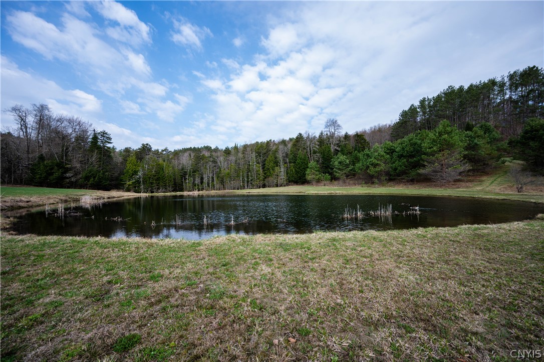 849 Hurricane Road Cold Brook, NY 13324 - Photo 48 of 50