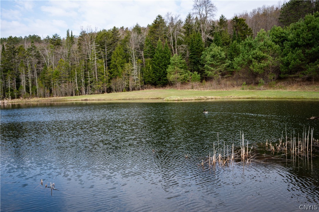 849 Hurricane Road Cold Brook, NY 13324 - Photo 50 of 50