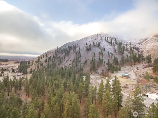 a view of a dry yard with wooden fence