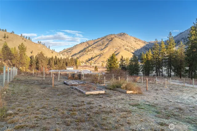 a view of a house with backyard and trees