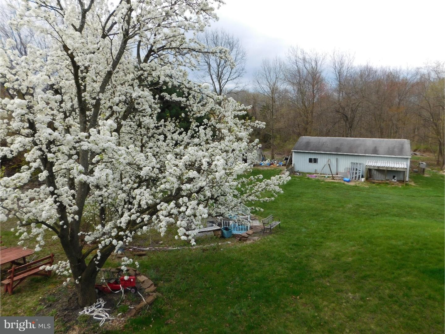 267 Deer Run Road Bechtelsville, PA 19505 - Photo 3 of 14 Back Yard