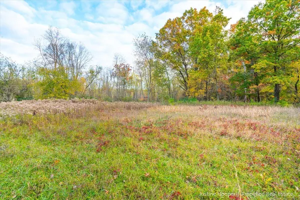 $150,000 | V/l V/l M-79 Highway, Hastings, MI 49058