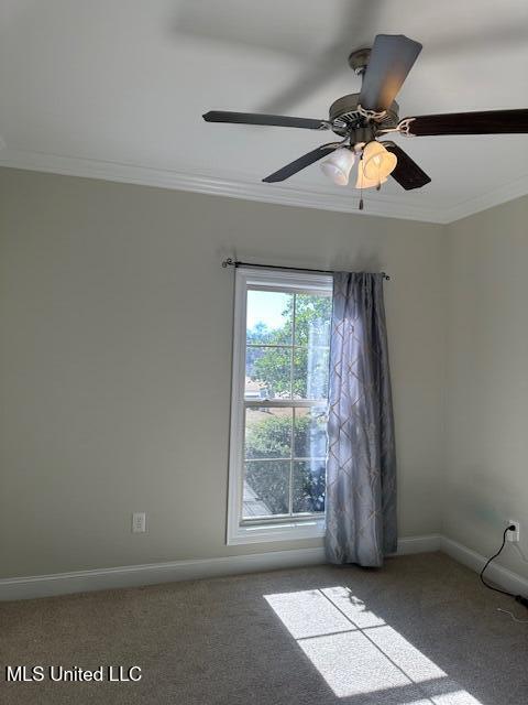 114 Essen Lane Madison, MS 39110 - Photo 12 of 15 IMG_3757