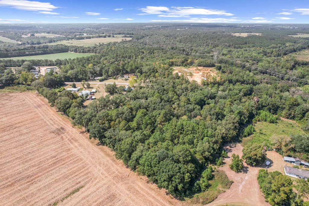 4032 Kinsey Road Dothan, AL 36303 - Photo 43 of 46