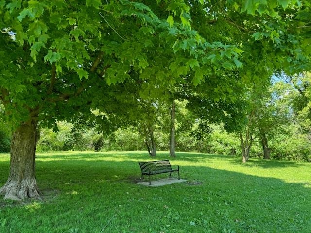 925 Falls Road, Unit 3 Shelburne, VT 05482 - Photo 40 of 52