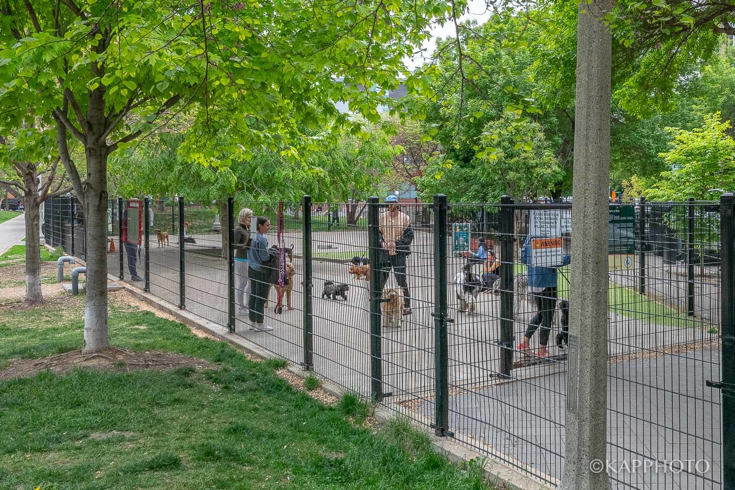 106 South Sangamon Street, Unit 2S Chicago, IL 60607 - Photo 29 of 29 a view of a backyard with a tree