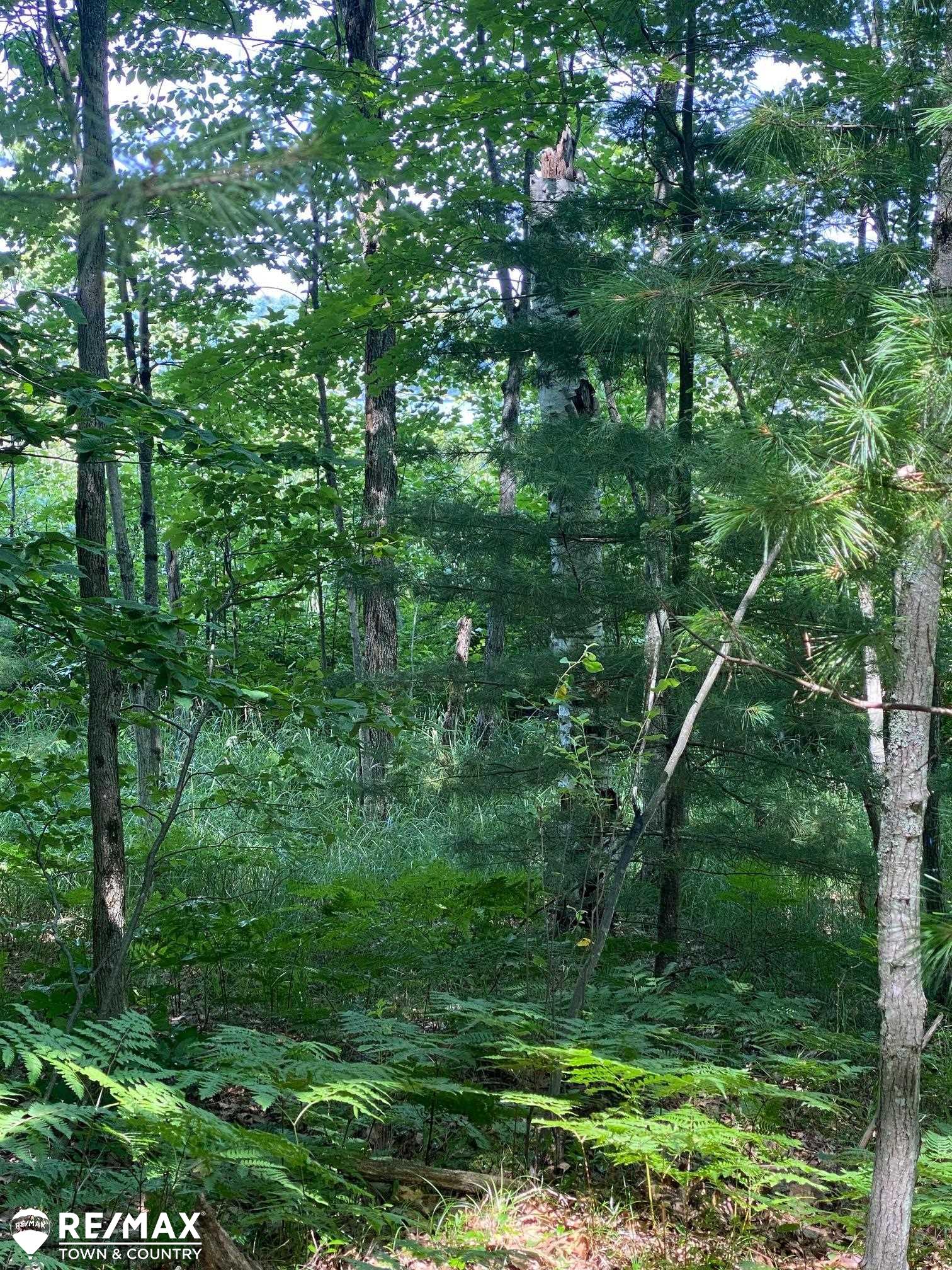 0 Browns Road Lake, MI 48632 - Photo 4 of 11