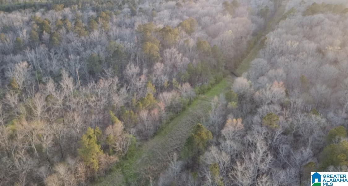 1837 Westover Road Sterrett, AL 35147 - Photo 11 of 14