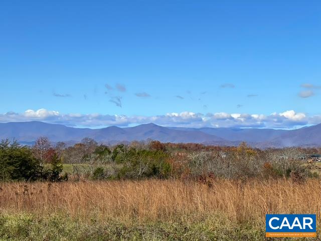 593 Stage Road Arrington, VA 22922 - Photo 42 of 48 Gallery Image 42