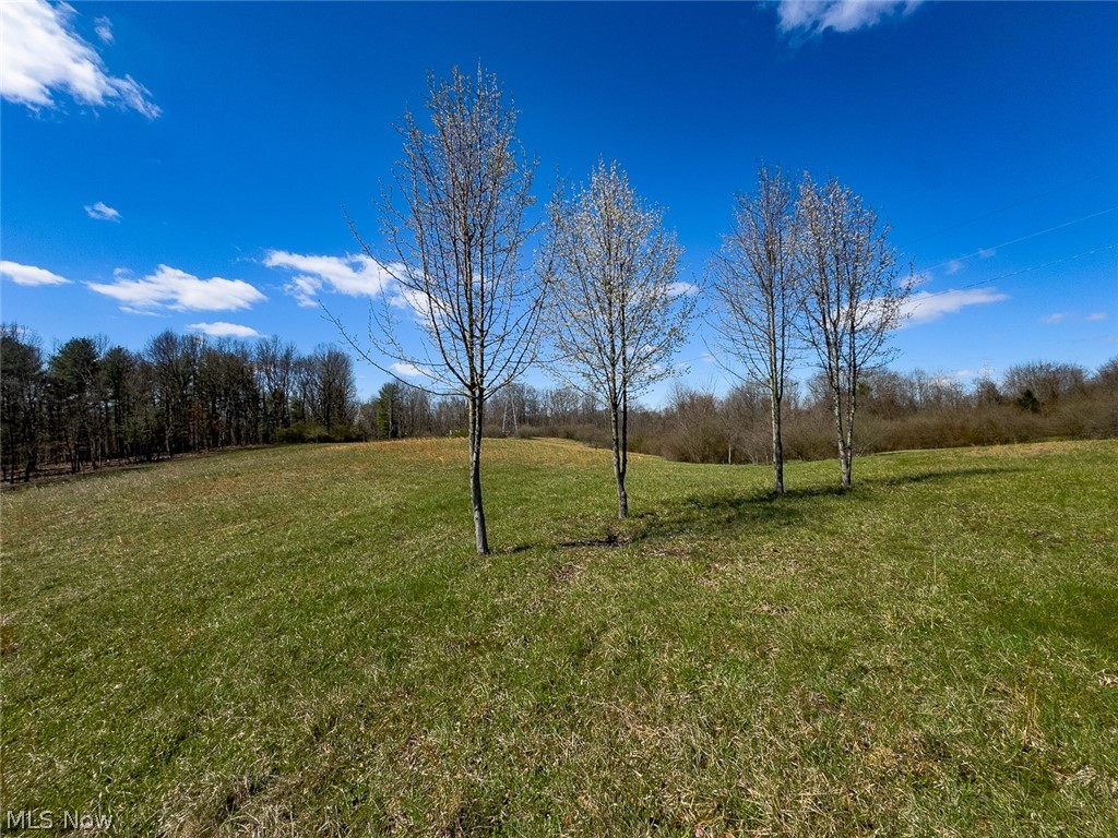 6880 Shaver Road Blue Rock, OH 43720 - Photo 11 of 36