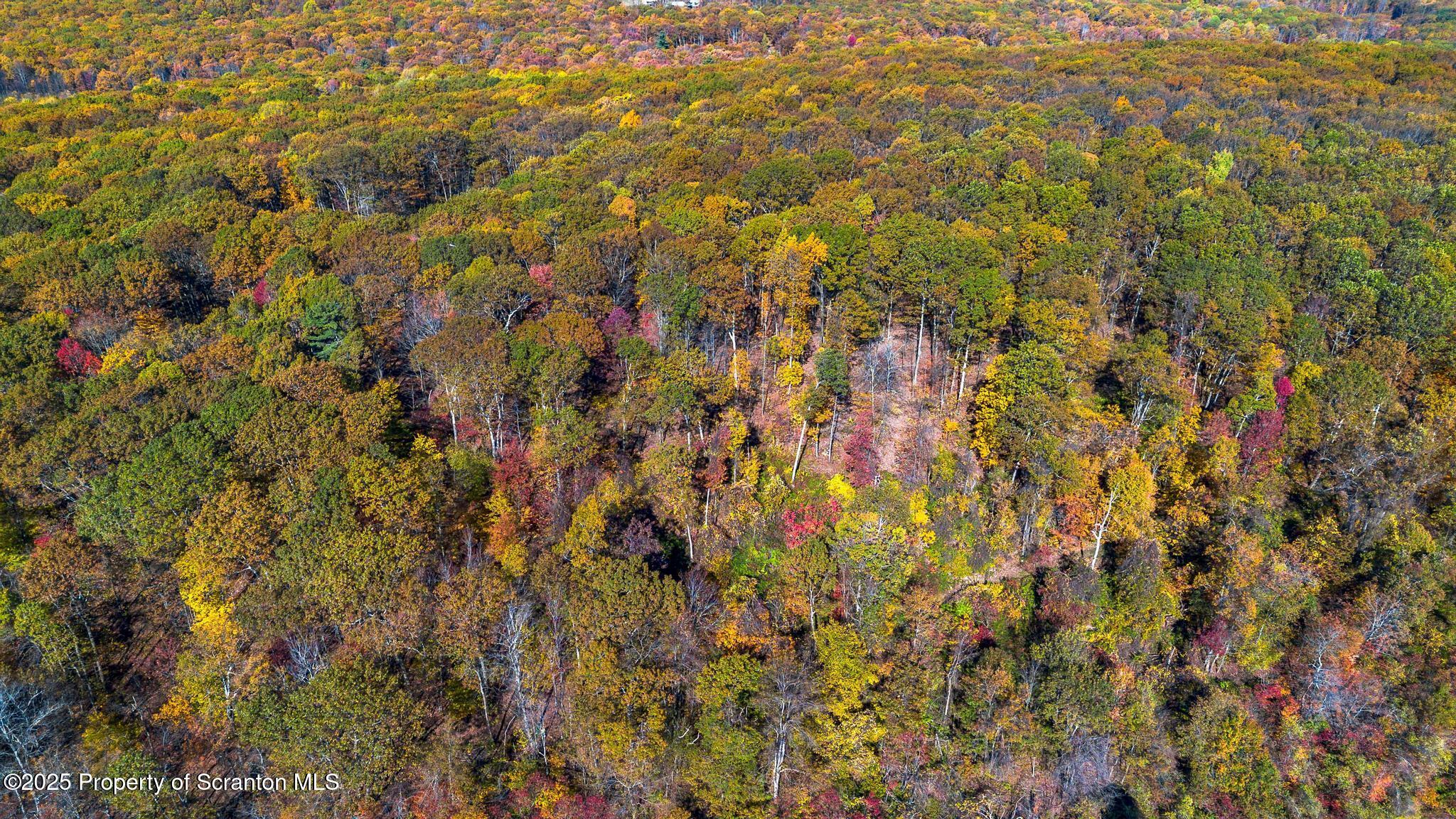 0 Robinson And Fox Road Waymart, PA 18472 - Photo 3 of 37