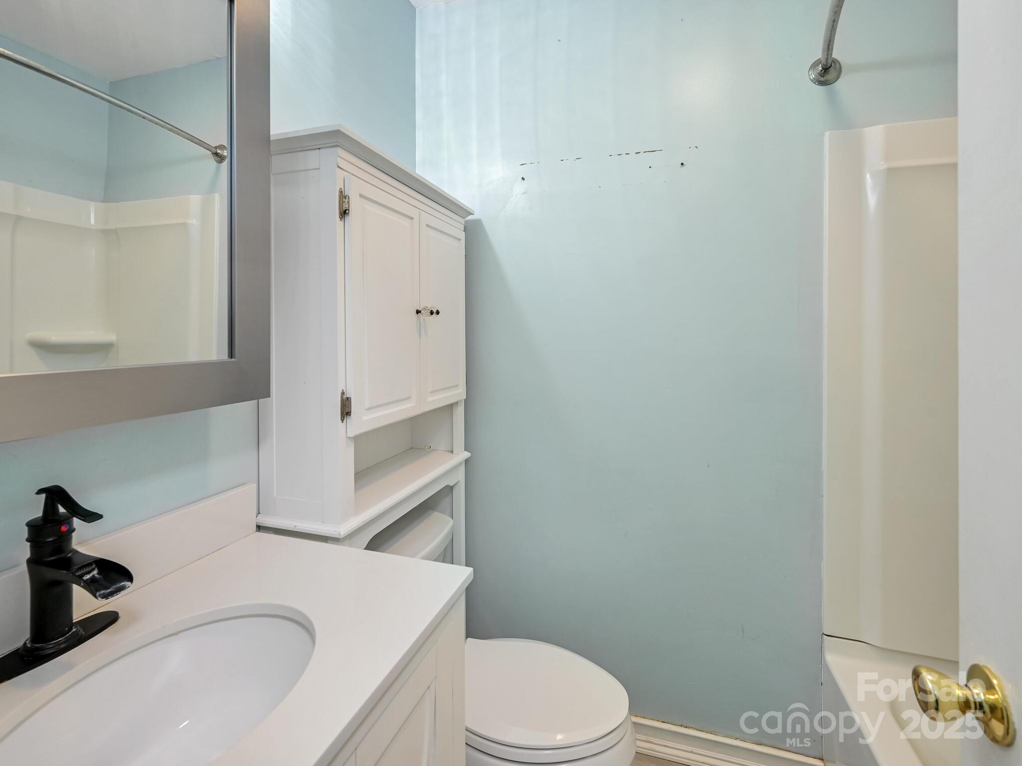 14 Spring Lake Drive Fletcher, NC 28732 - Photo 14 of 29 a bathroom with a sink a toilet and shower