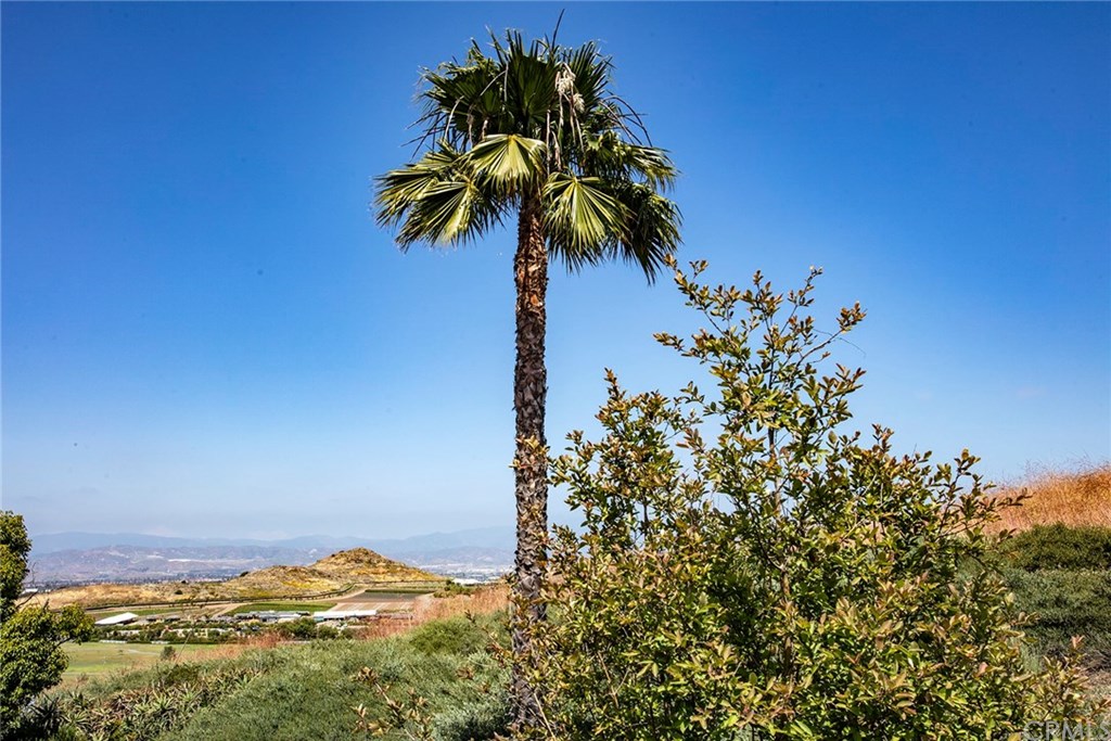 34 Ascension Irvine, CA 92612 - Photo 15 of 52