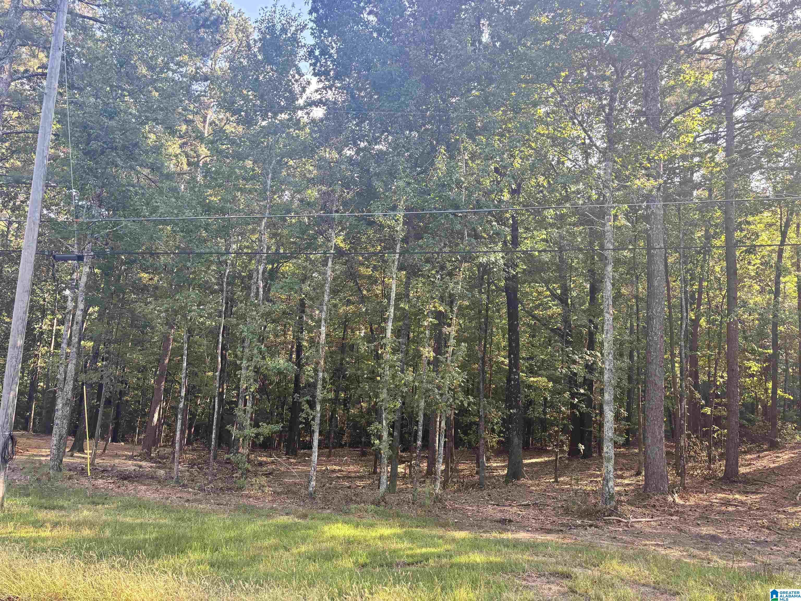 Lot 2 Morton Road, Unit 2 Blountsville, AL 35031 - Photo 3 of 4