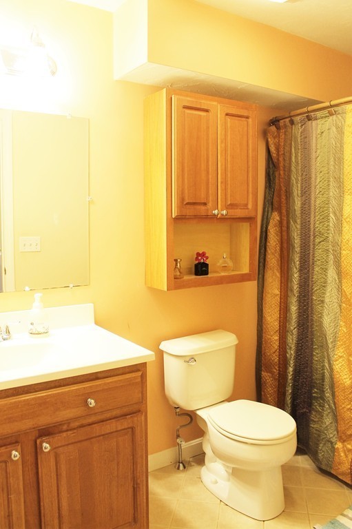 47 Alder Street, Unit 9 Waltham, MA 02453 - Photo 15 of 23 a bathroom with a sink a toilet and shower