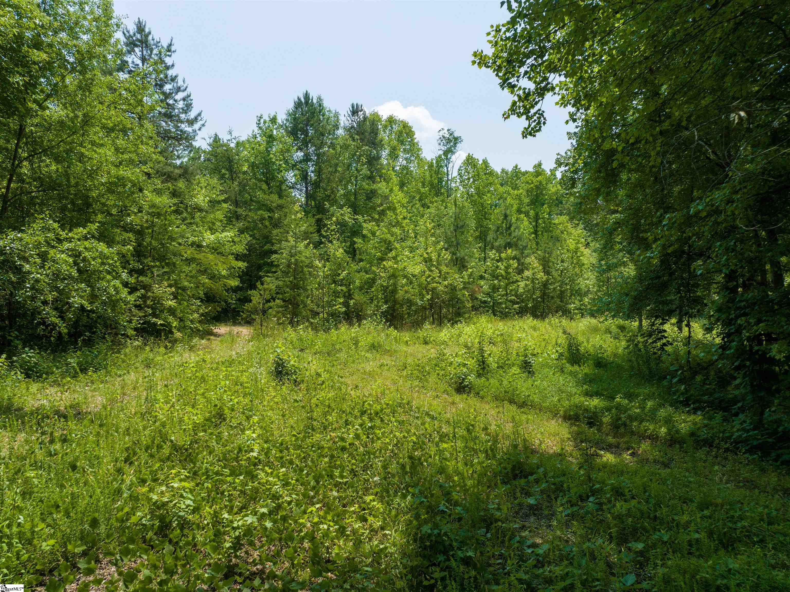 1086 Bates Crossing Road, Unit LOT 4 Travelers Rest, SC 29690 - Photo 1 of 8