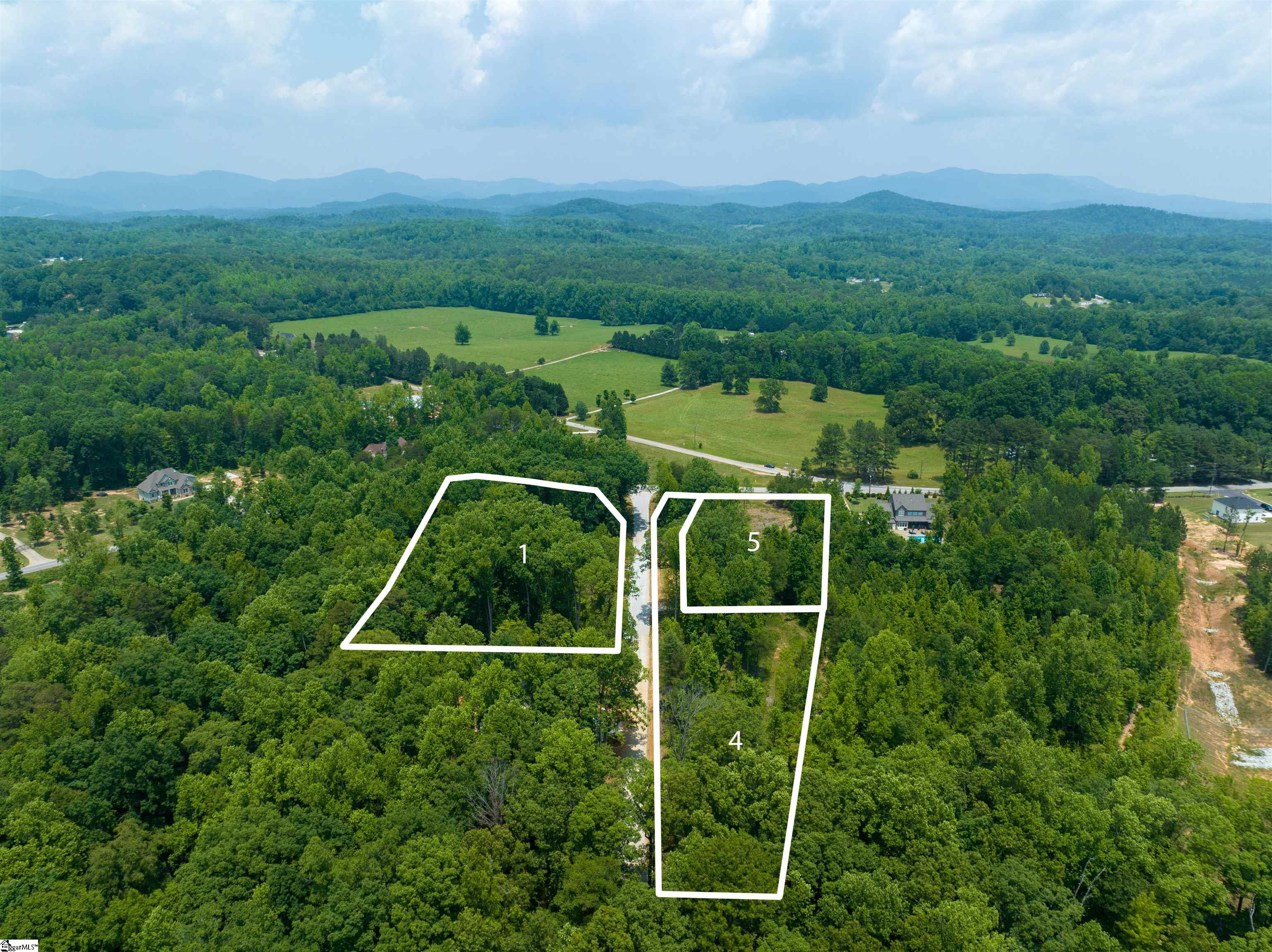 1086 Bates Crossing Road, Unit LOT 4 Travelers Rest, SC 29690 - Photo 4 of 8