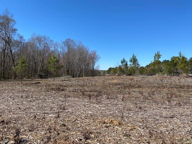 Lot 5 Elizabeth Street Honea Path, SC 29654 - Photo 2 of 2 Gallery Image 2