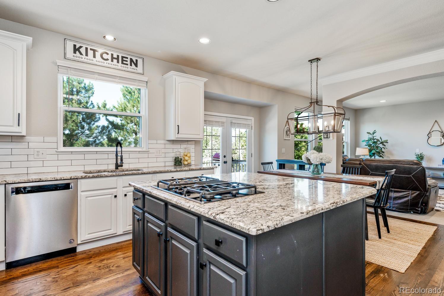 762 Shadowstone Drive Highlands Ranch, CO 80129 - Photo 7 of 37 Gallery Image 7