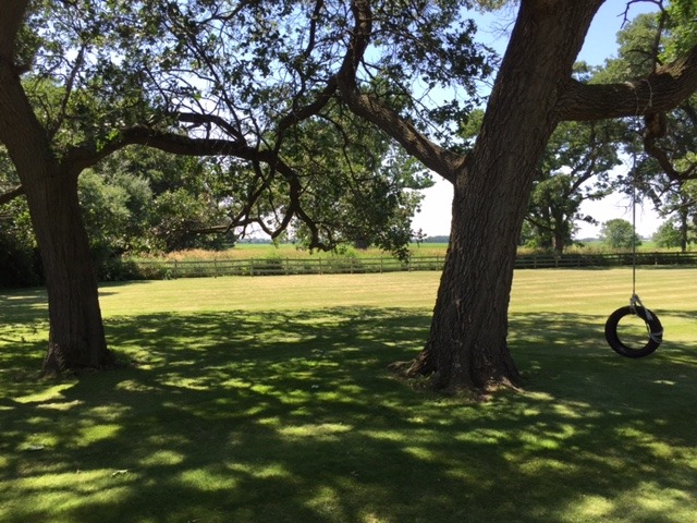 6615 Kemman Road Hebron, IL 60034 - Photo 24 of 25 a view of a yard with a tree