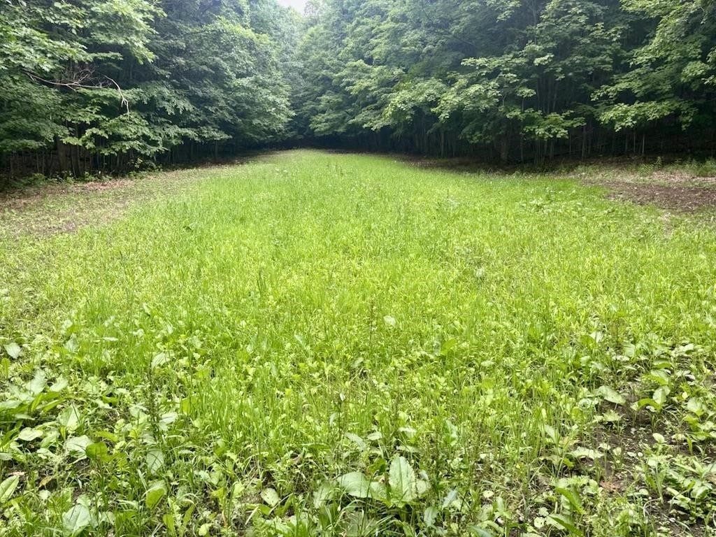 0 South Schomberg Road Cedar, MI 49621 - Photo 69 of 70