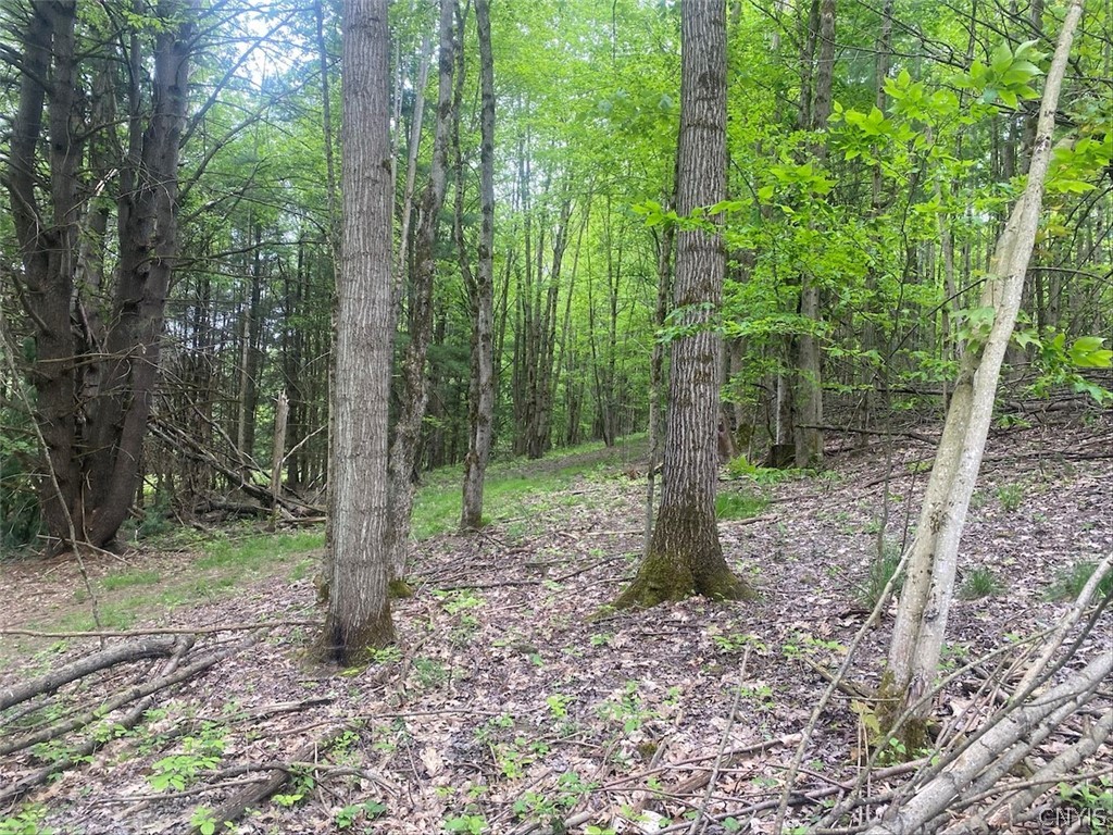 7133 Murry Hill Road Belfast, NY 14711 - Photo 28 of 33