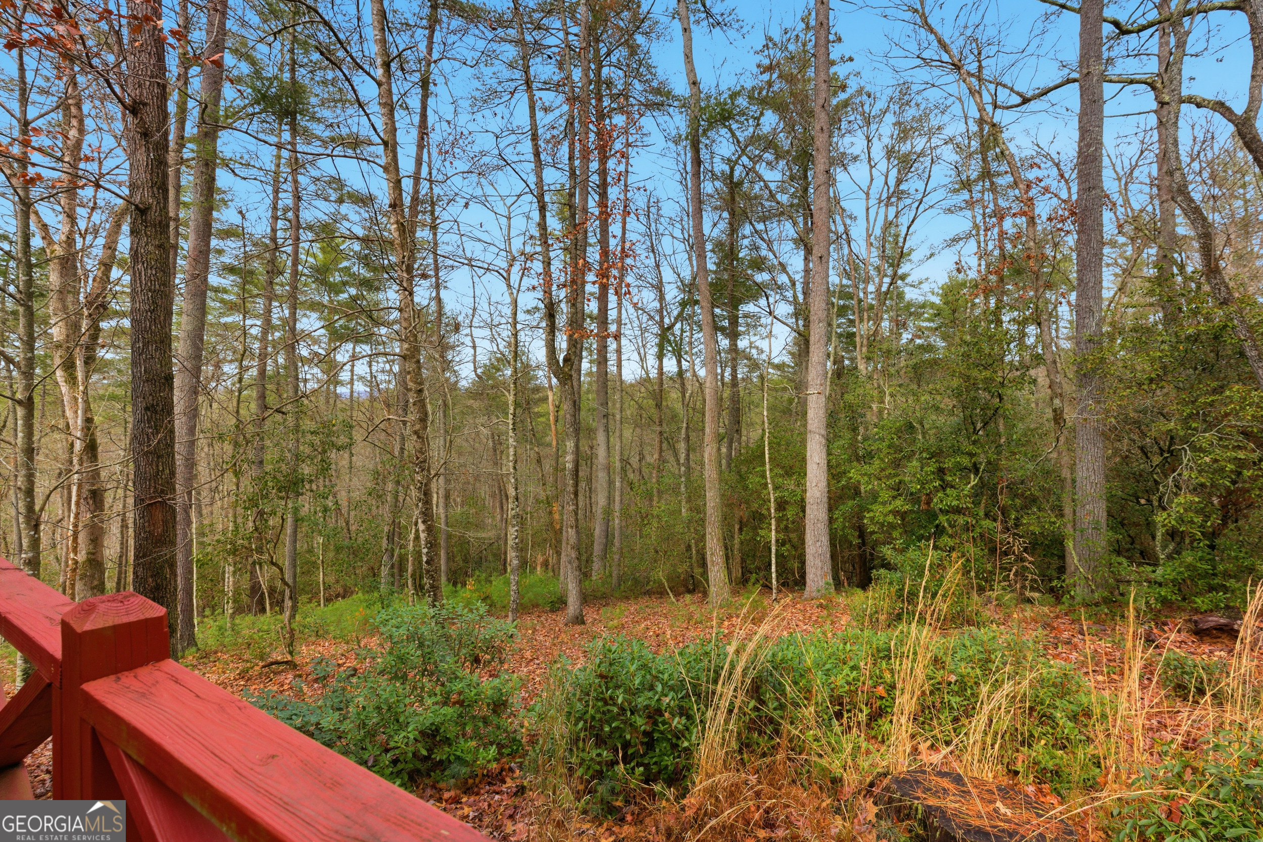 801 Sillycook Trail Clarkesville, GA 30523 - Photo 14 of 47 a view of outdoor space and yard