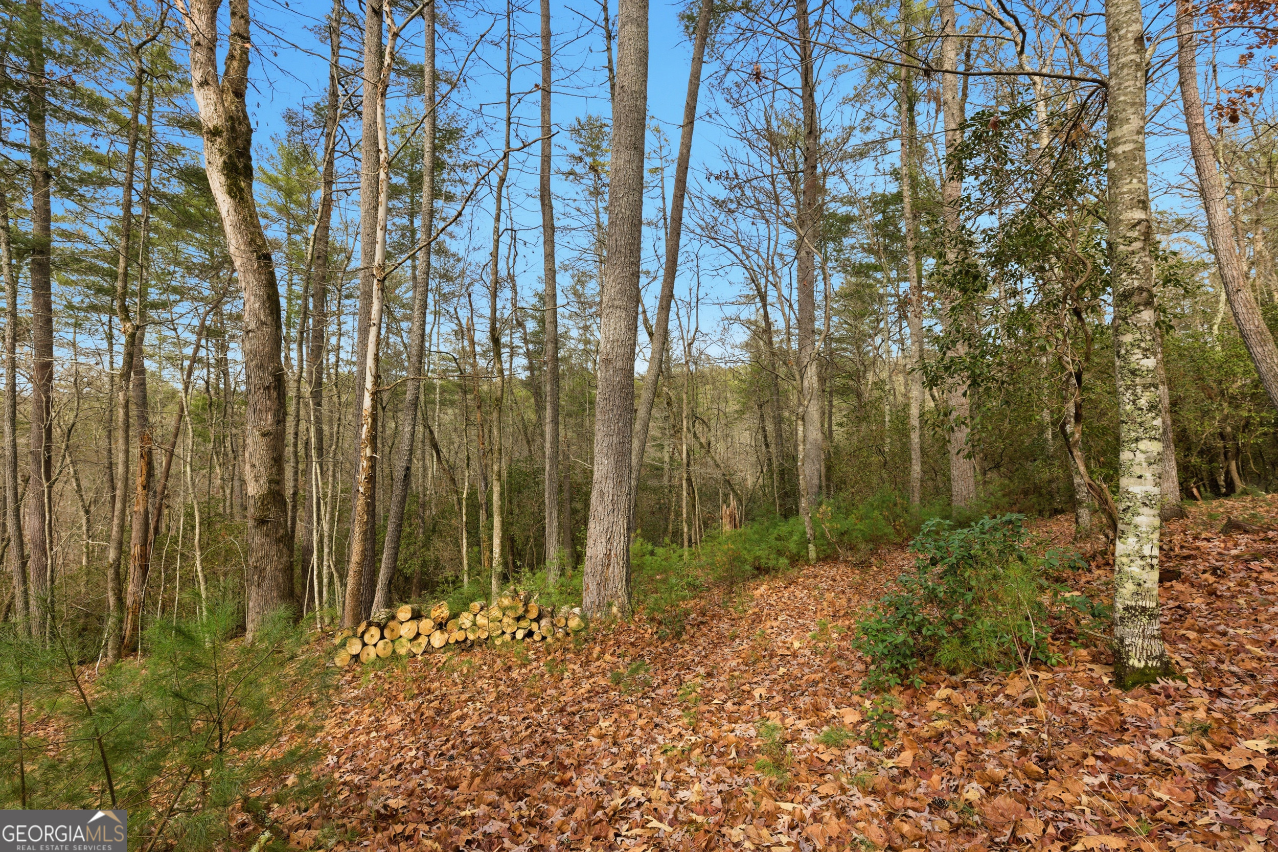 801 Sillycook Trail Clarkesville, GA 30523 - Photo 25 of 47 a view of outdoor space and garden