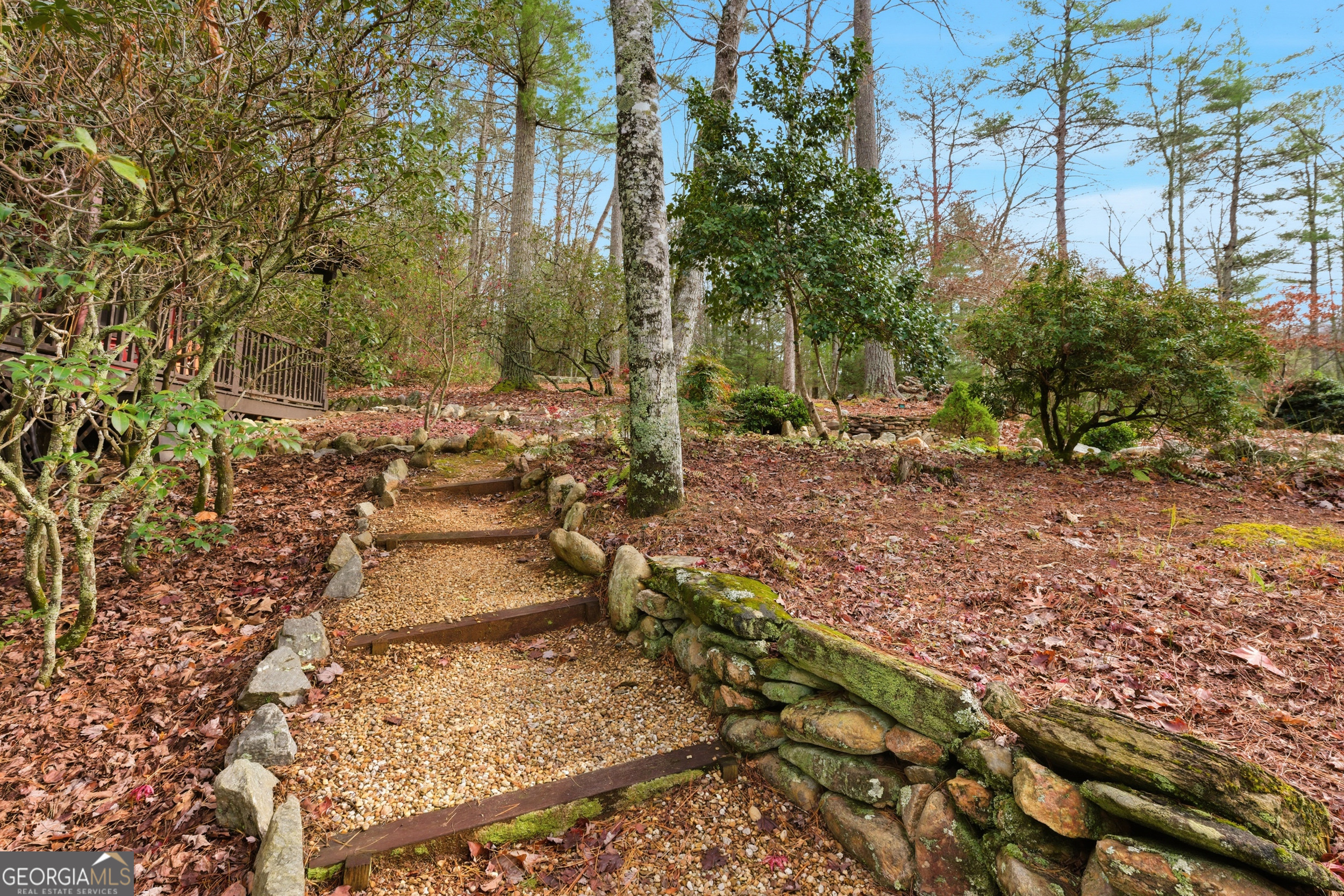 801 Sillycook Trail Clarkesville, GA 30523 - Photo 36 of 47 a view of a yard with plants and trees