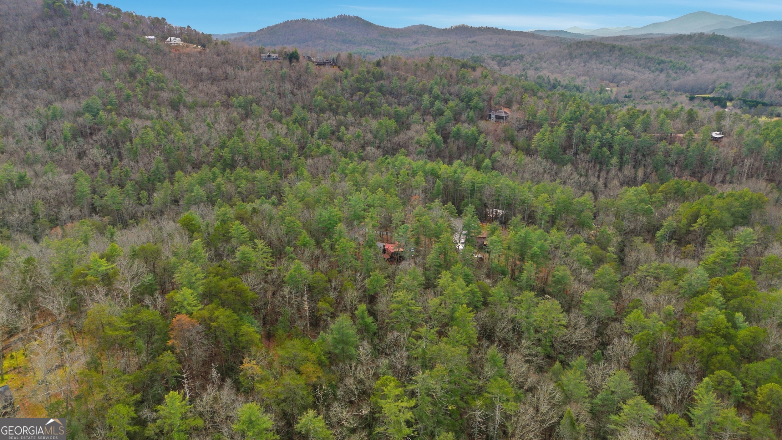 801 Sillycook Trail Clarkesville, GA 30523 - Photo 43 of 47 a view of a lush green forest with lush green forest