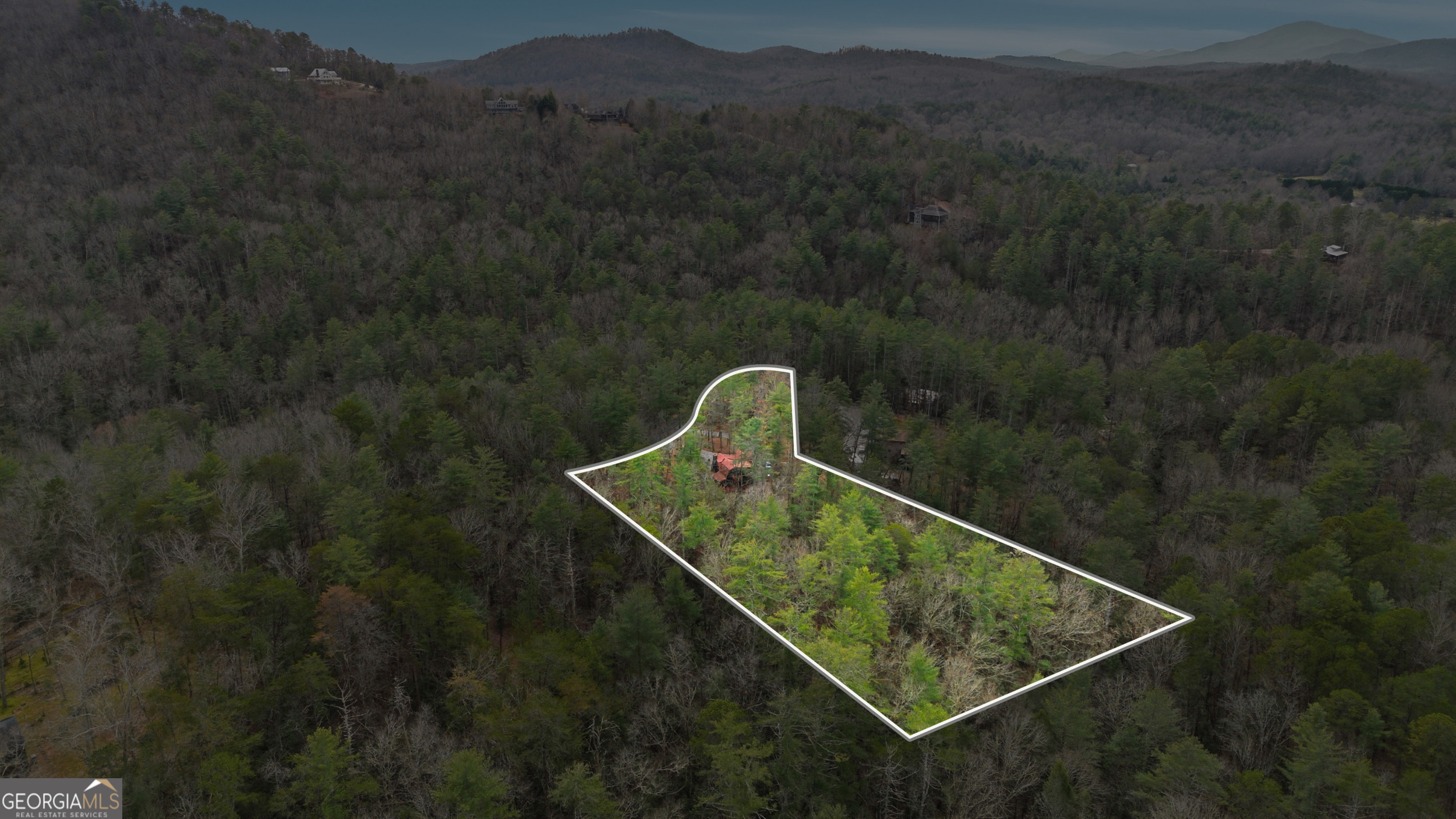 801 Sillycook Trail Clarkesville, GA 30523 - Photo 44 of 47 a view of a small pool with a yard