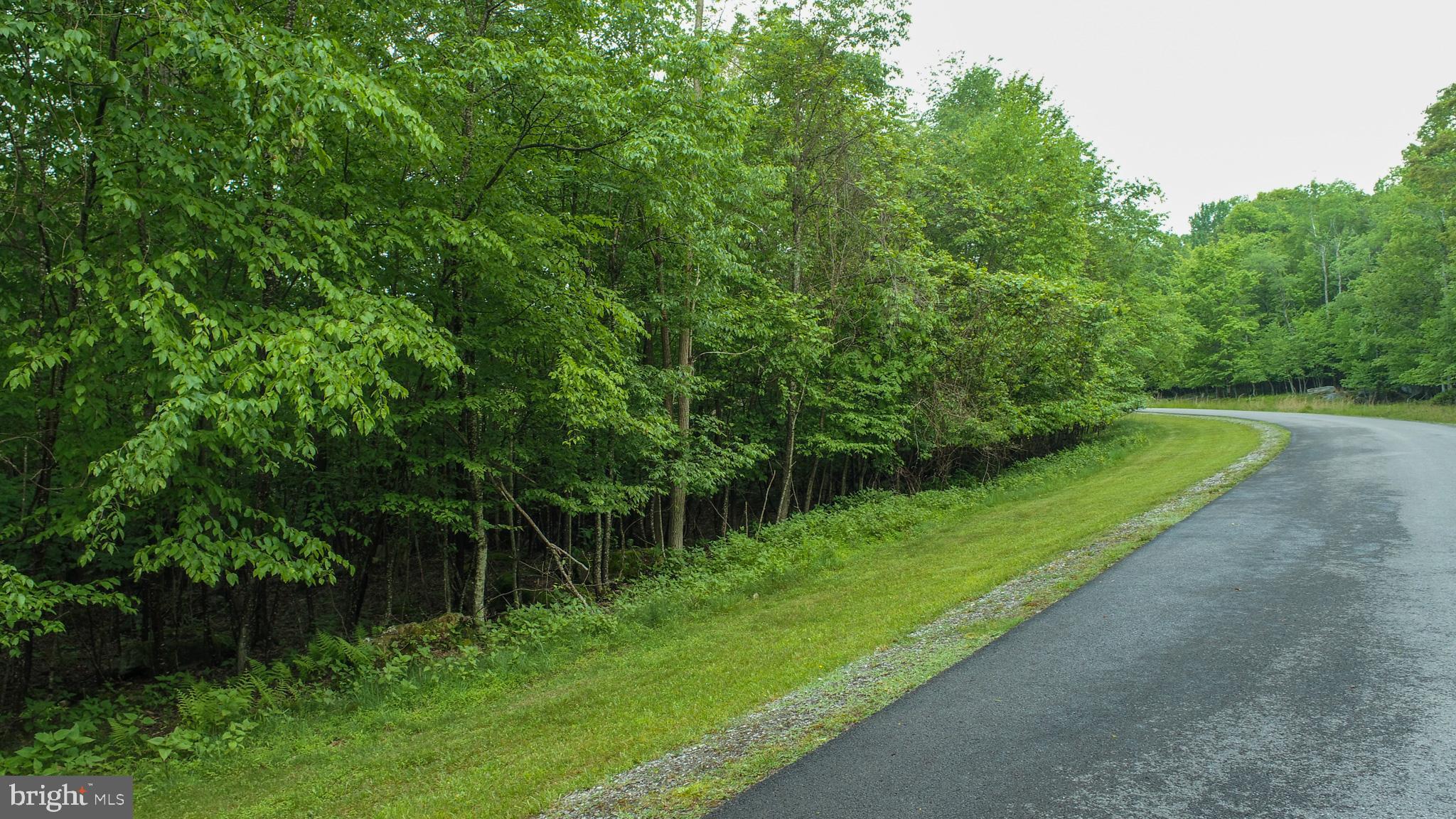 Lot 47 Mountaintop Road McHenry, MD 21541 - Photo 5 of 26 a view of outdoor space