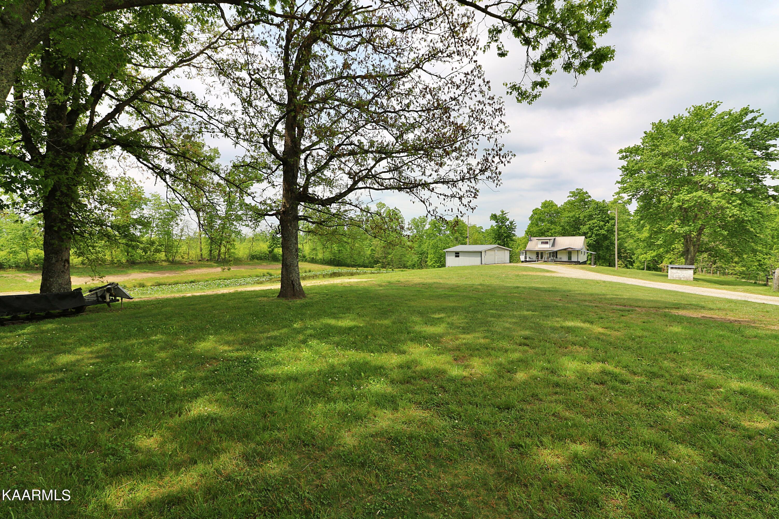 570 McCartt Road Robbins, TN 37852 - Photo 3 of 57 094A9720