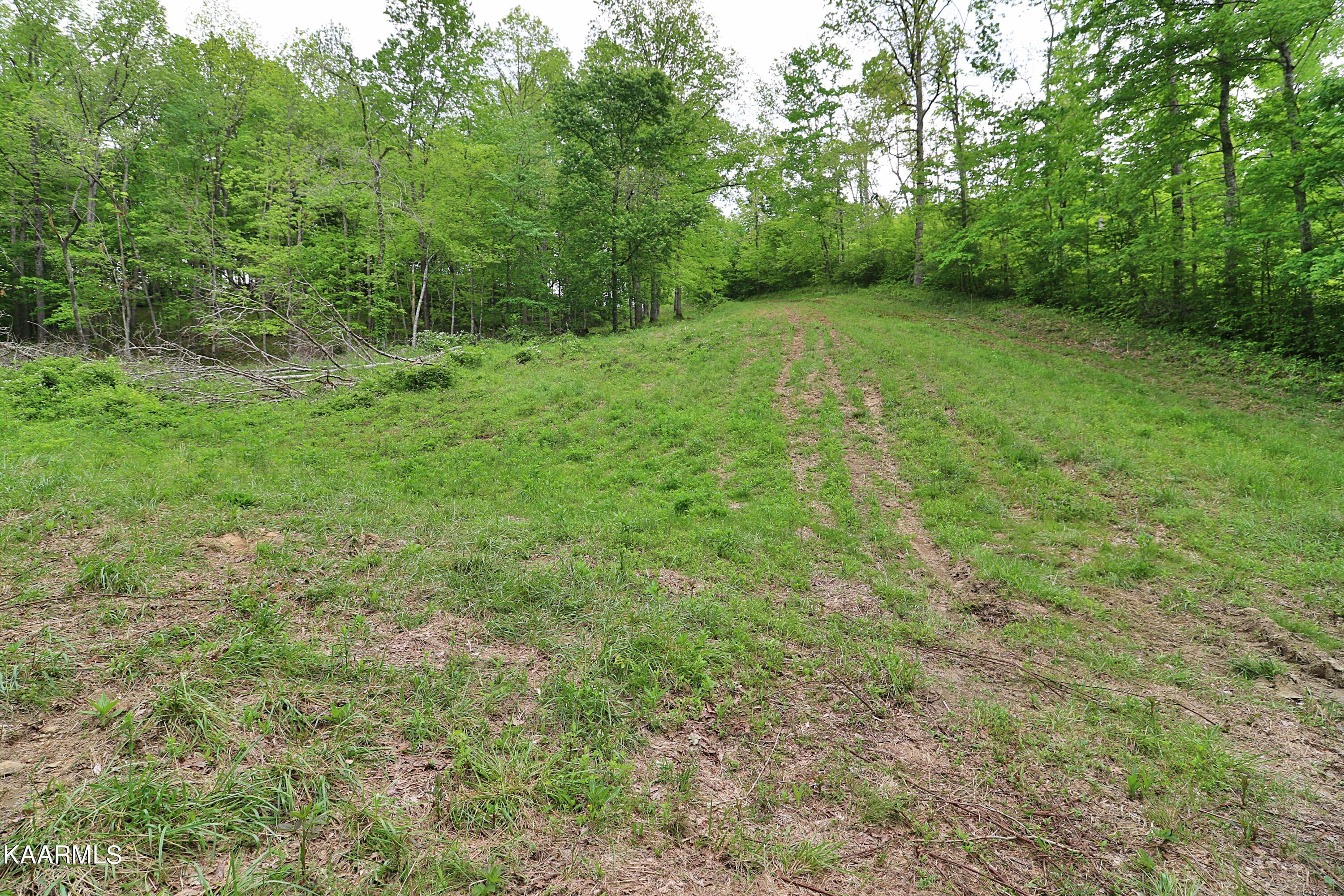 570 McCartt Road Robbins, TN 37852 - Photo 39 of 57 094A9734