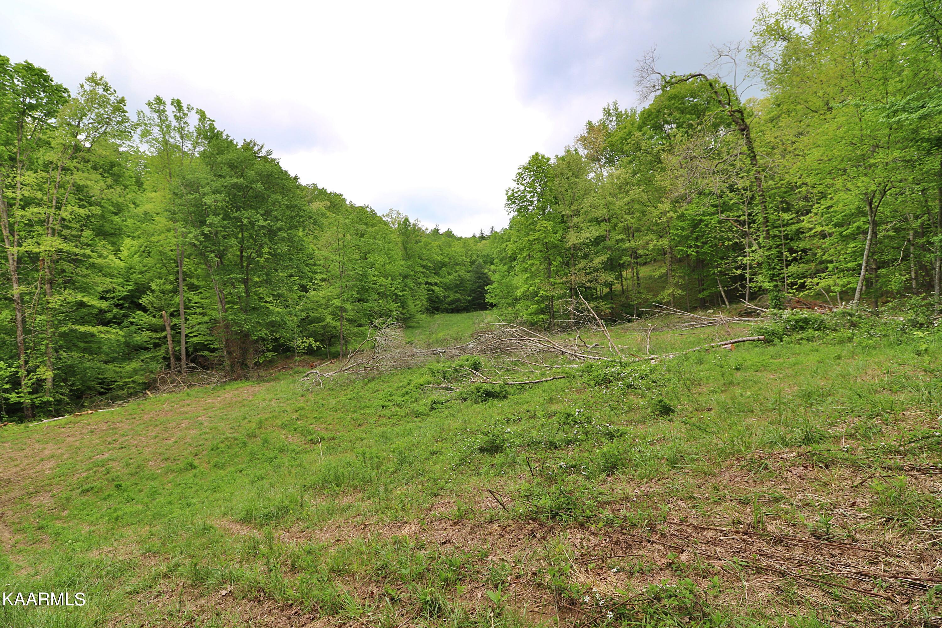 570 McCartt Road Robbins, TN 37852 - Photo 40 of 57 094A9732