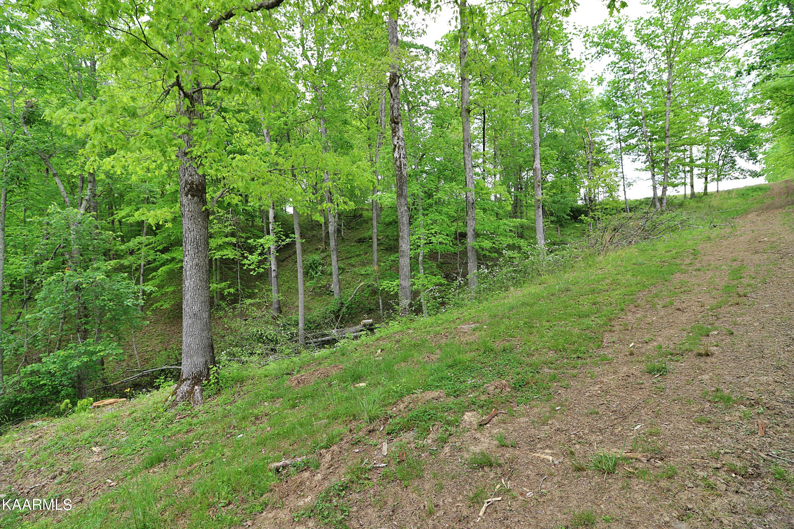 570 McCartt Road Robbins, TN 37852 - Photo 42 of 57 094A9730