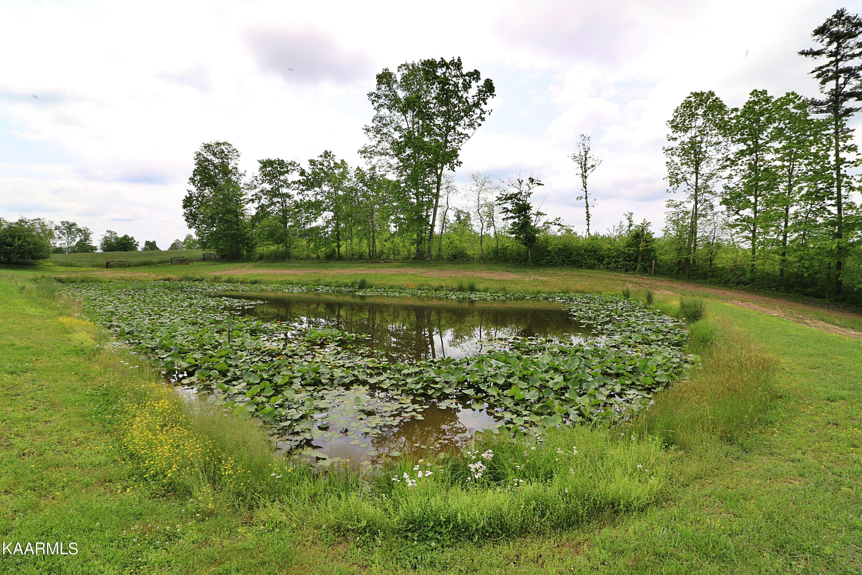 570 McCartt Road Robbins, TN 37852 - Photo 44 of 57 094A9713
